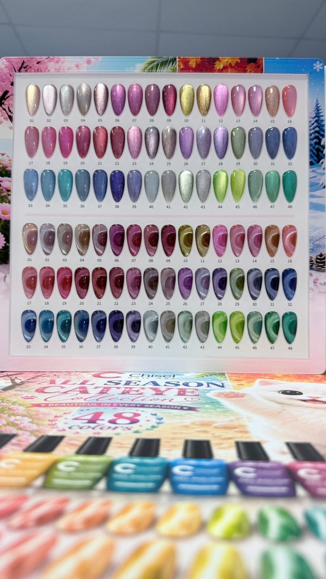 All season Cateye Collection